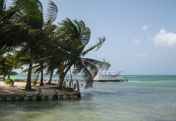 Making Money Doing What You Love in Belize - International Living