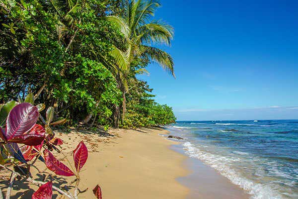 The Seasons of Costa Rica