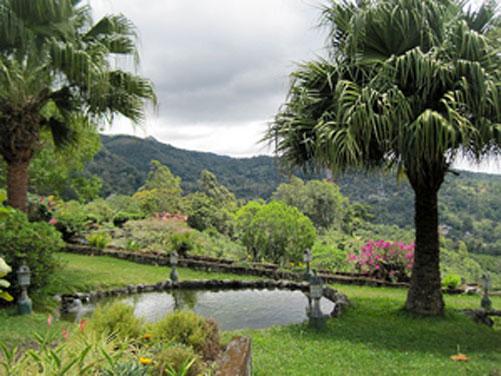 An idyllic garden in Boquete.