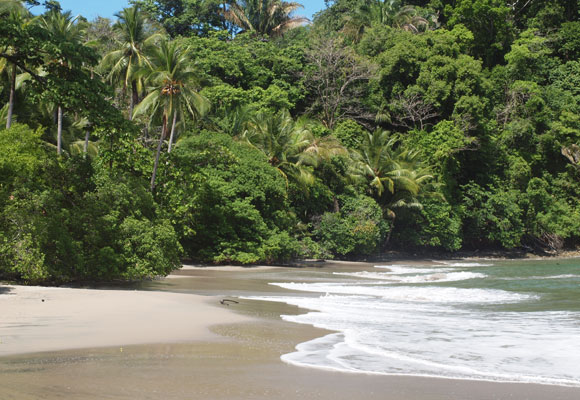 Live In Costa Rica: Full Guide On Living In Costa Rica In 2020