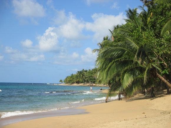 Best Beaches on Costa Rica’s Caribbean Coast