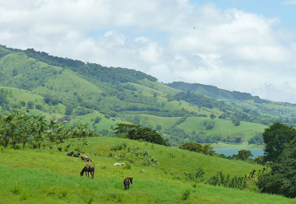 The Quiet Costa Rican Countryside