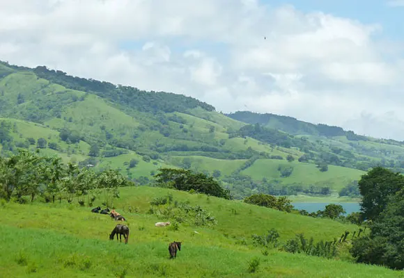 The Quiet Costa Rican Countryside