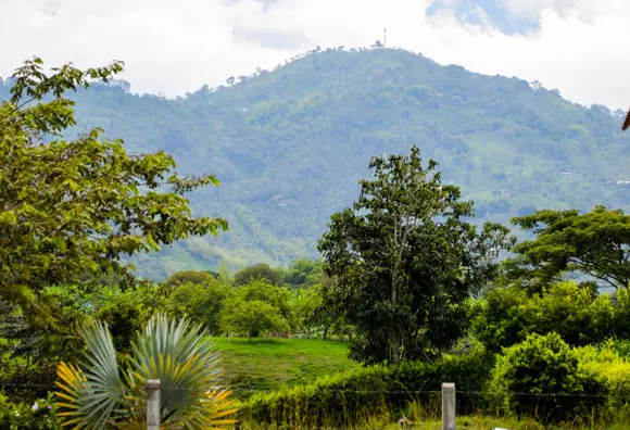 Own a Piece of Paradise in Colombia’s Coffee Triangle