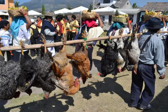 tarpuy-raymi-ecuador