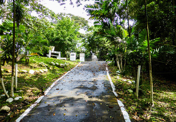 singles de cerro azul panama