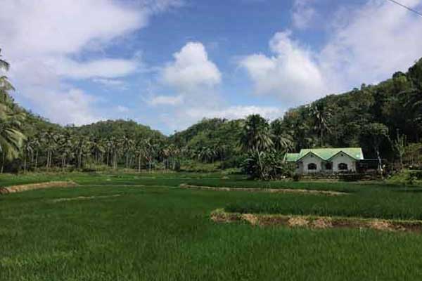 Bohol Island