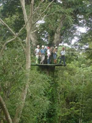 Experience Nicaragua From the Treetops With Ziplining in Mombocho 