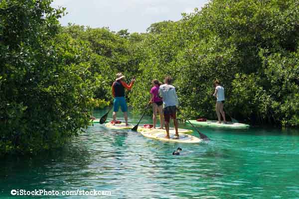 Learn to Paddle Board