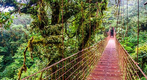 Video of Magical Monteverde in Costa Rica