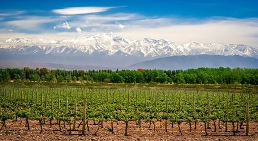 A Rent Free Summer In Mendoza Argentina International Living - 