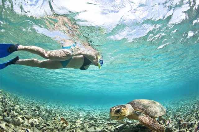 snorkling in caye caulker