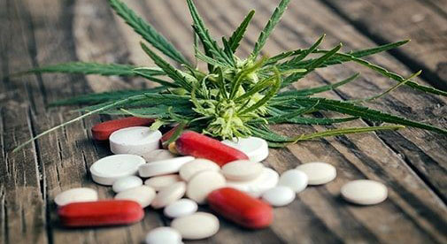 Medical Marijuana Laws