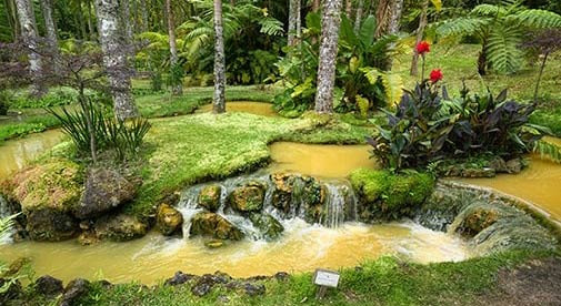 Exploring the Green Azores – Europe’s Subtropical Garden