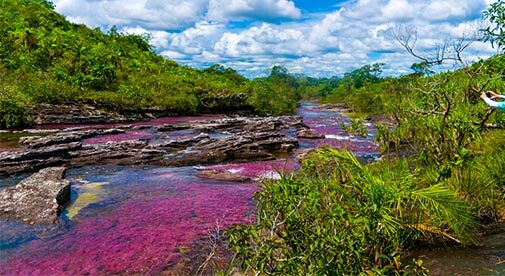 What Makes Colombia Unique