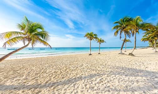 Why Our Riviera Maya Opportunities are Stronger Than Ever…
