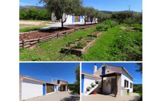 Property in Fundao Portugal