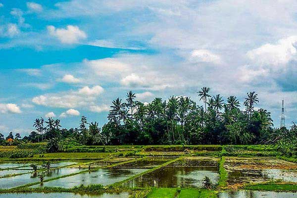 The Rainy Season is a Bad Time to go to Bali