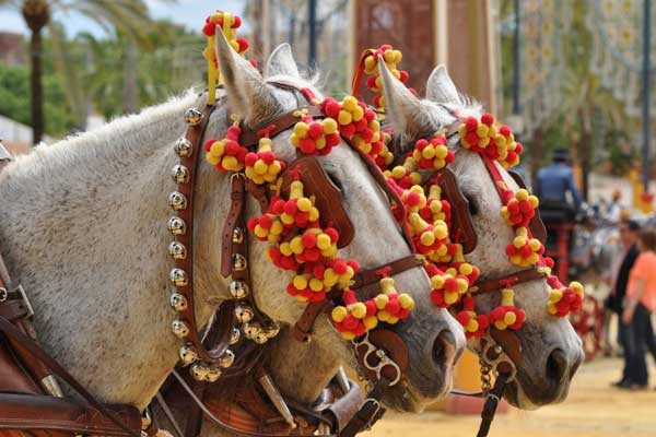 Horses-in-Jerez