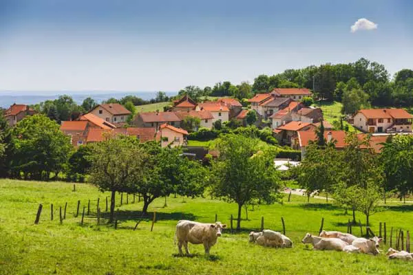 The couple explored the French countryside on their vacations