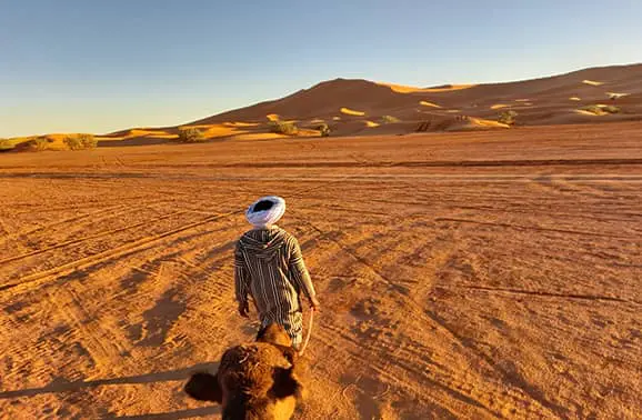 Our “Marrakech Express”: A Three-Day Trek Through Morocco