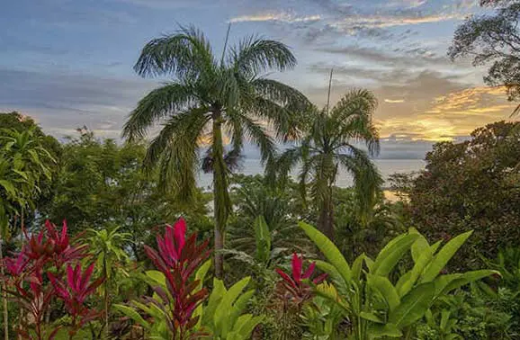 Is Costa Rica the Most Eco-Friendly Country on Our Beat?