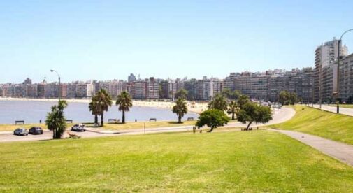 Starting a Family and a Business in Montevideo, Uruguay