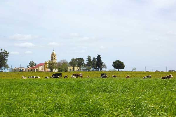 Gaucho Farm Land