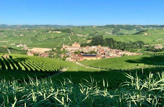 A Wine Lover’s Dream: From Napa to One of Italy’s Best Wine Regions