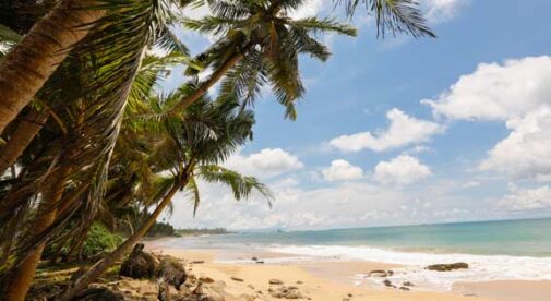 Choose from Beach, Valley, Hilltop, and Lake in Costa Rica’s Top 4 Towns
