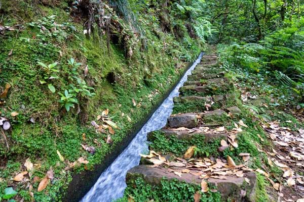 One of Madeira’s levadas