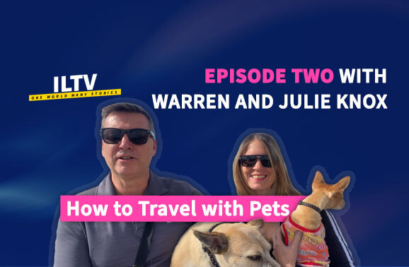 Video: How to Travel With Pets