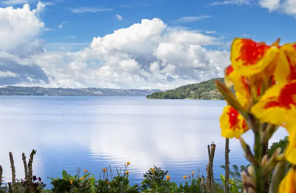 Natural Beauty and $500 Rent by Lake Arenal