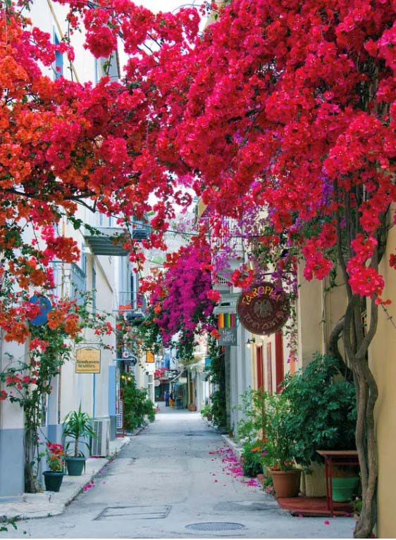 The streets of Nafplio’s old town